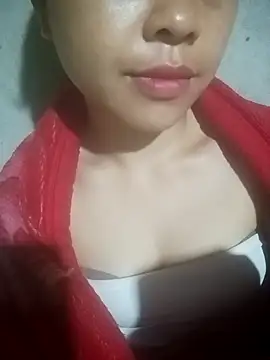 embe1144 webcam