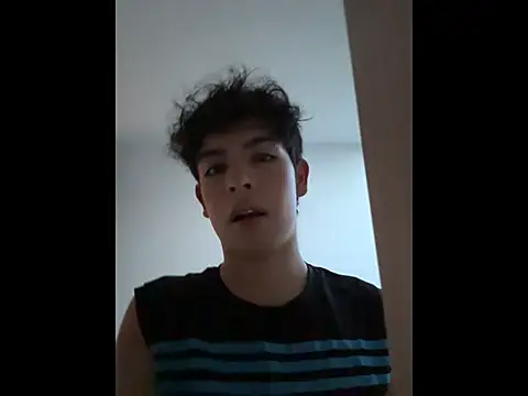 Blum_icee webcam