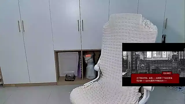 Erya-369 webcam