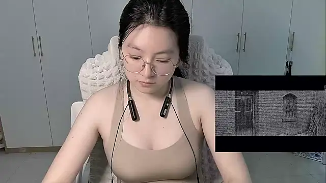 Erya-369 webcam