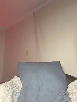 Samispank webcam