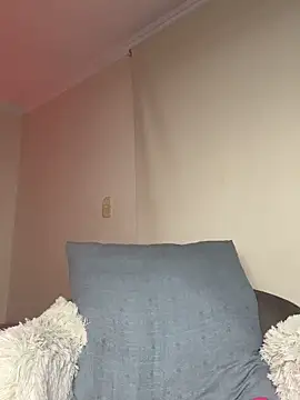 Samispank webcam