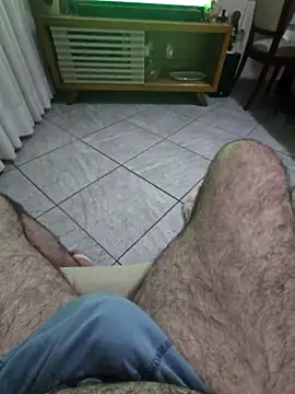MysterBearMG webcam
