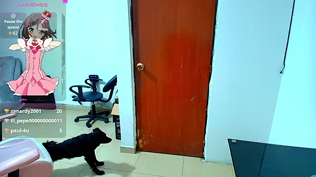 hanna_2026 webcam