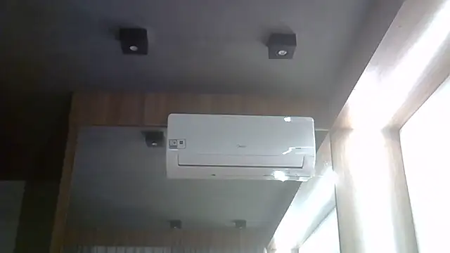 SkinnyKitten webcam