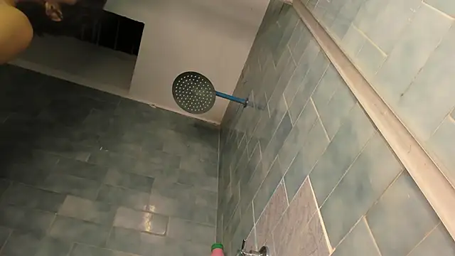 Cheys_Mast webcam