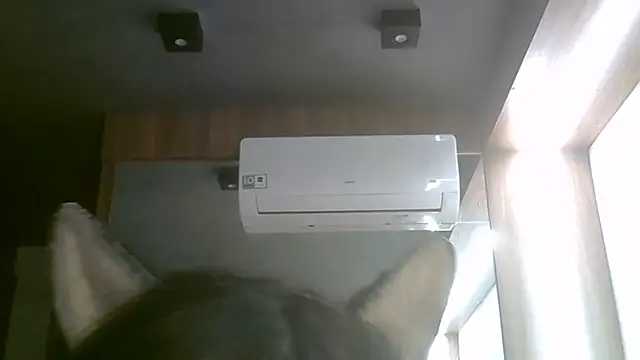 SkinnyKitten webcam