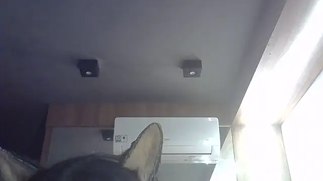 SkinnyKitten webcam