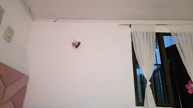 eva_sin18 live sex cam