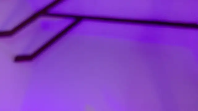 CathMeow_ webcam