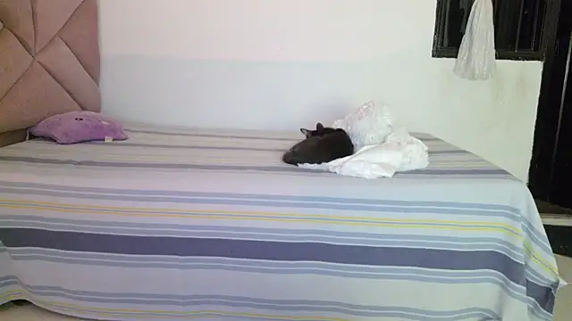 eva_sin18 webcam