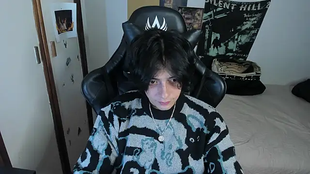 sai_l01 webcam
