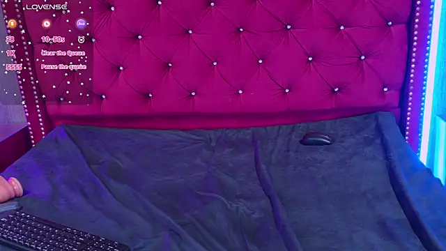 Shelly_bat webcam