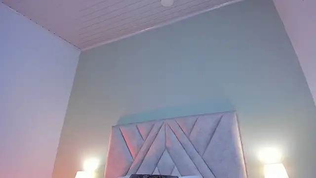 nova_silk webcam
