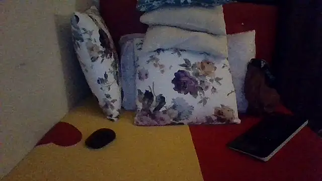 st206boy webcam