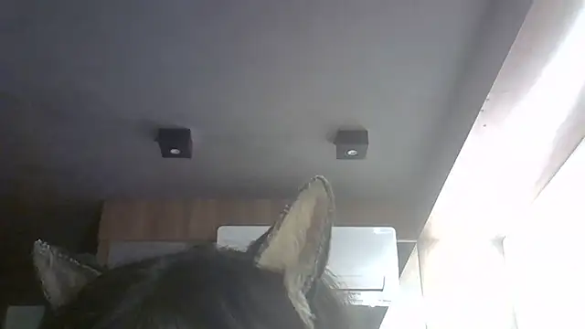 SkinnyKitten webcam