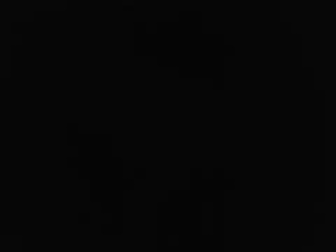 Nidge251 webcam