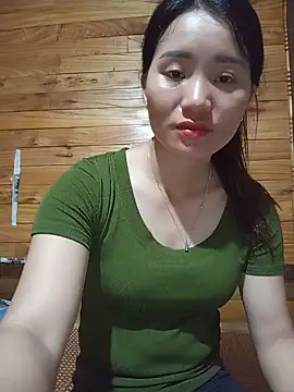 Td3di webcam