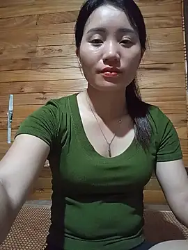 Td3di webcam