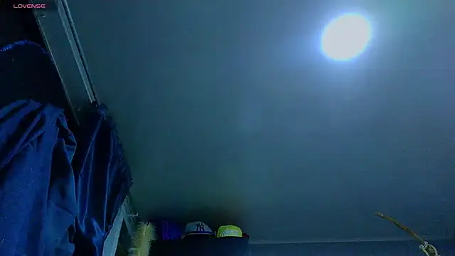 the_dog_lian webcam