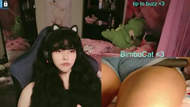 BimboCat webcam