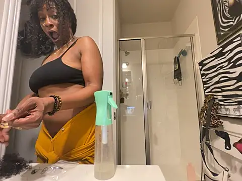 wynterheat webcam