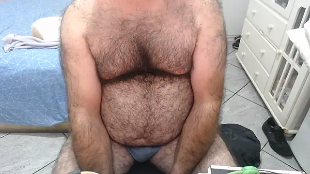 MysterBearMG webcam