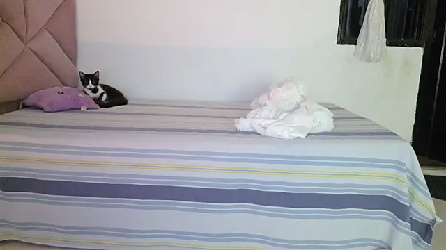 eva_sin18 webcam