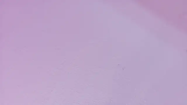 AndreaSweet2 webcam