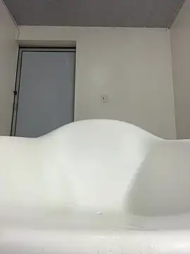 Ari_fist webcam