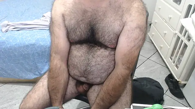 MysterBearMG webcam