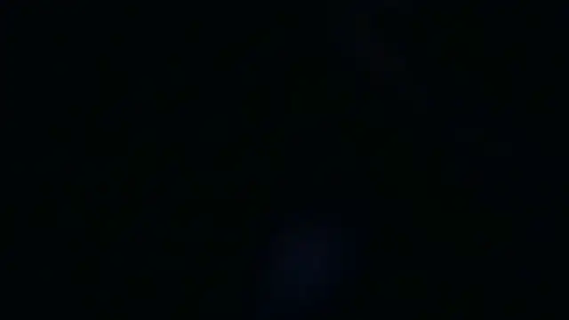 dannedonger2 webcam