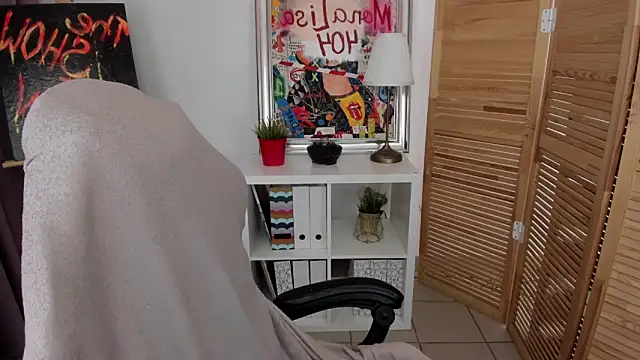 mekurisu webcam