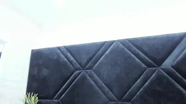 Dantzel_ webcam