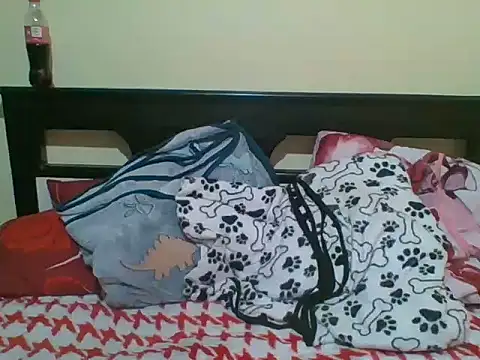 teticalinte webcam