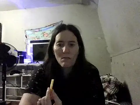 Mini83 webcam