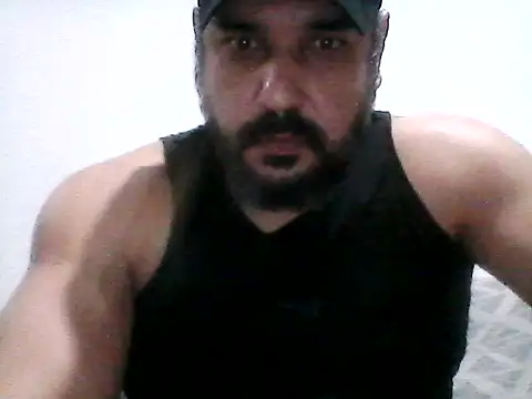 stallony webcam