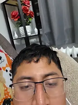 lopic webcam