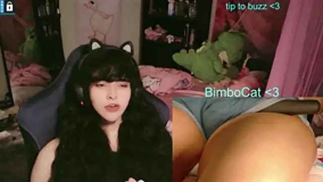 BimboCat webcam