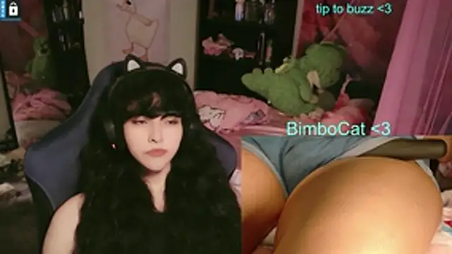BimboCat webcam