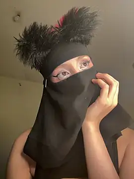 arabayla webcam