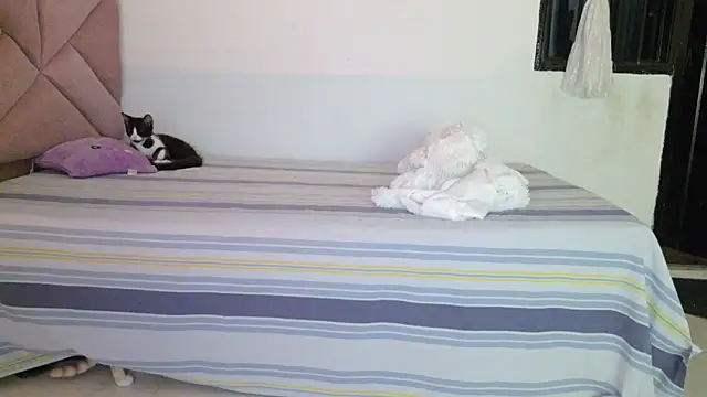 eva_sin18 webcam