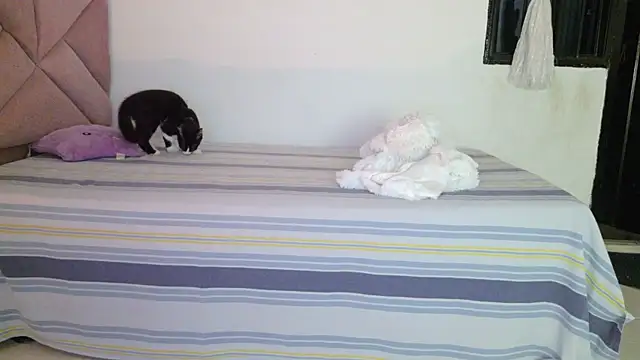 eva_sin18 webcam