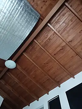 SilvaBranko webcam