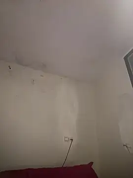 arabayla webcam