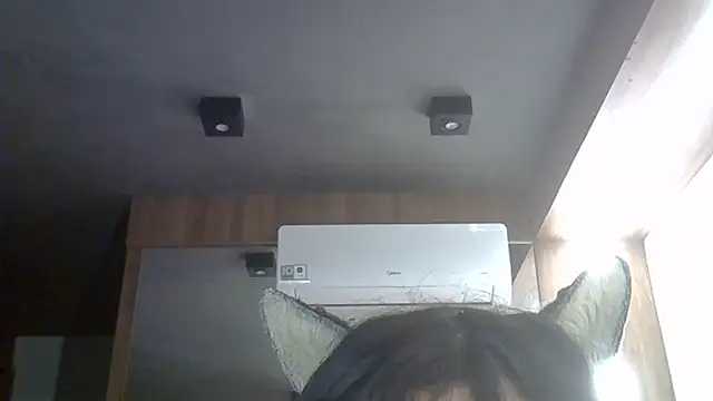 SkinnyKitten webcam