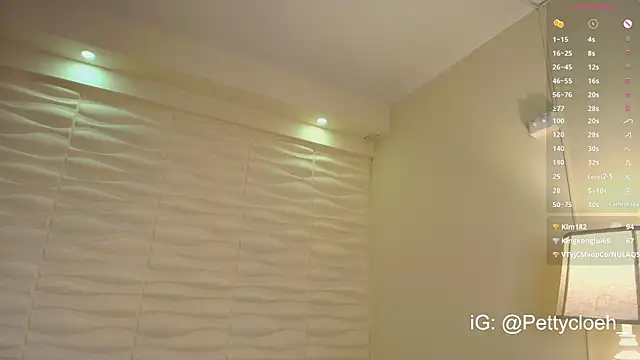 PettyCloeh webcam