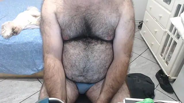 MysterBearMG webcam