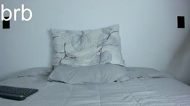 Leoknight webcam
