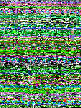 Herslatt122 webcam
